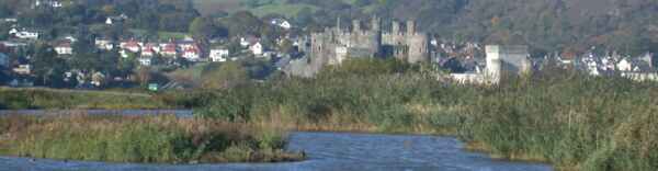 RSPB Conway, with Conway Castle as a backdrop (pic: Andy Mabbett)