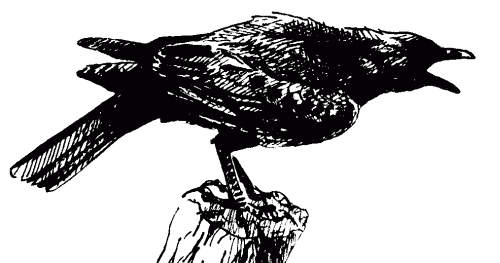 Carion Crow sketch by Mike Langman