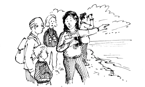 Sea-watching sketch by Alistair Bright